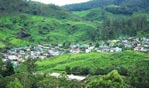 Devikulam