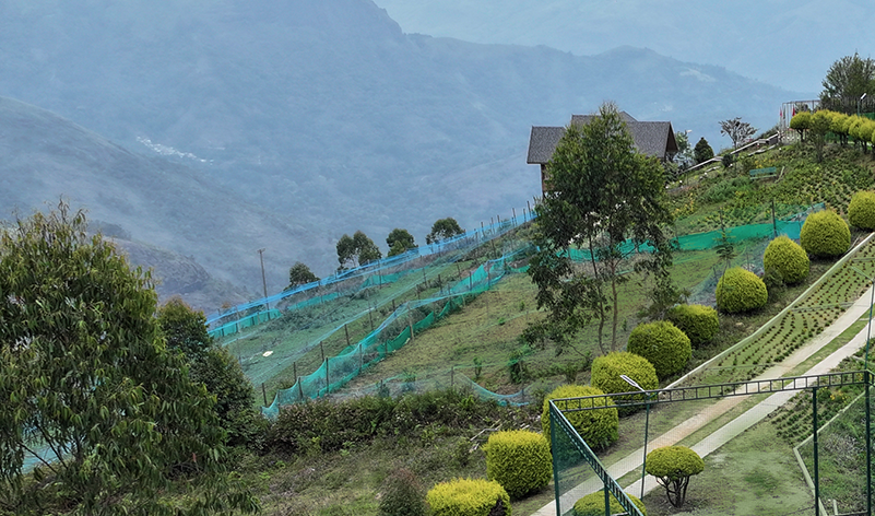 Vrindhavan Mist City, A Hilltop Resort Born in Nature, Kanthalloor, Munnar, Kerala, India