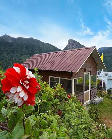 Vrindhavan Mist City, A Hilltop Resort Born in Nature, Kanthalloor, Munnar, Kerala, India